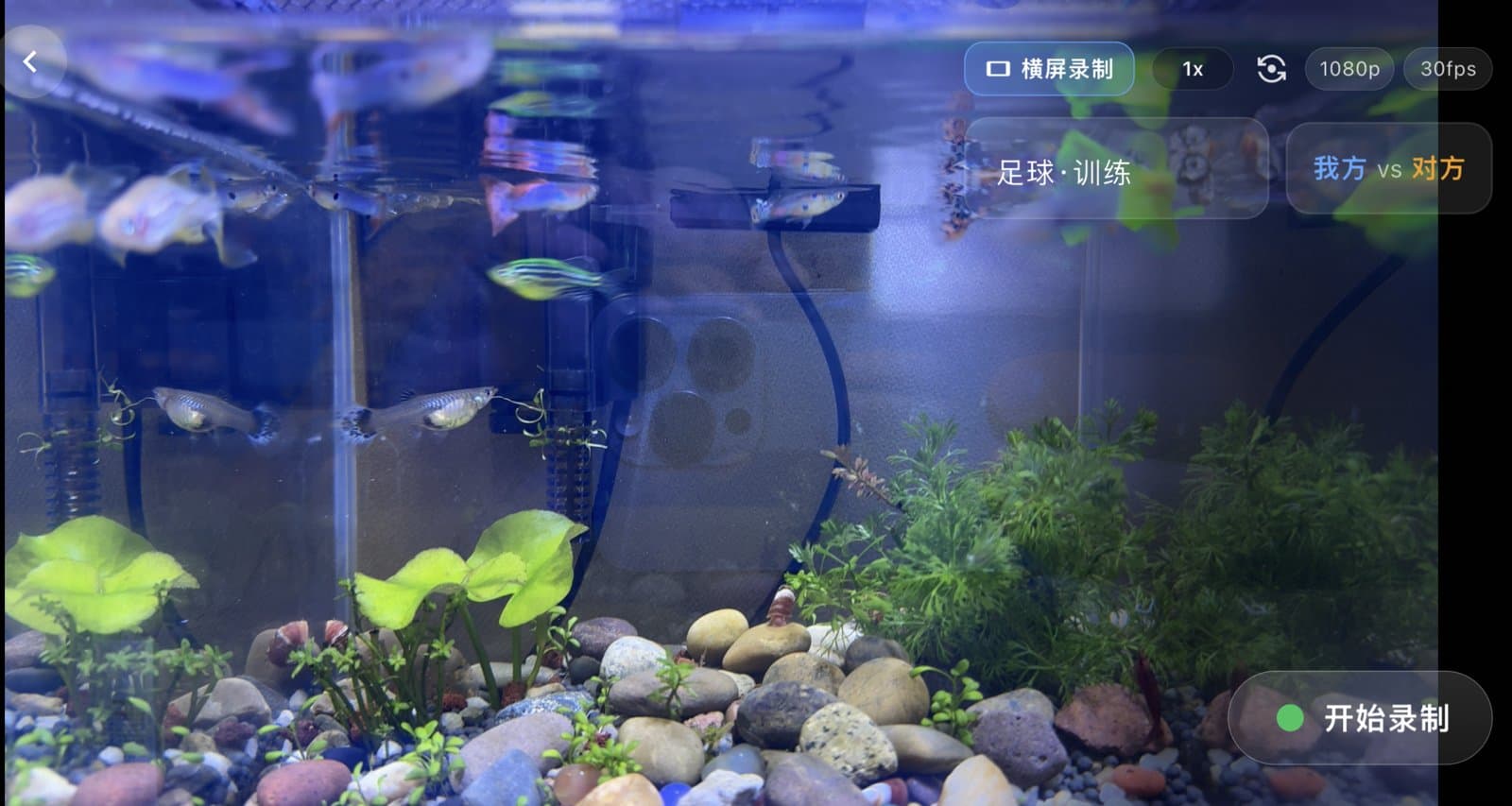 BlinkLife 横屏录制页：足球·训练、我方 vs 对方、开始录制按钮